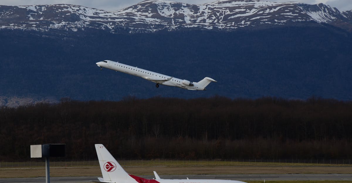 How Early Morning Arrivals Impact Taxi Availability