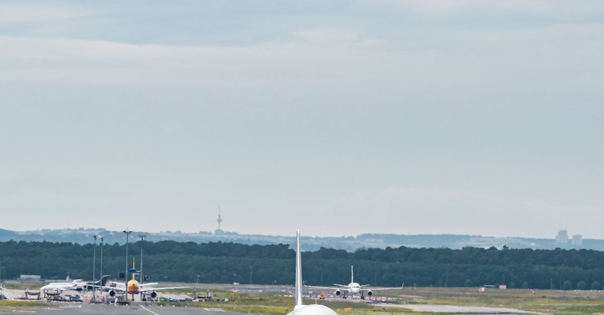 Navigating Different Taxi Options with Large Suitcases