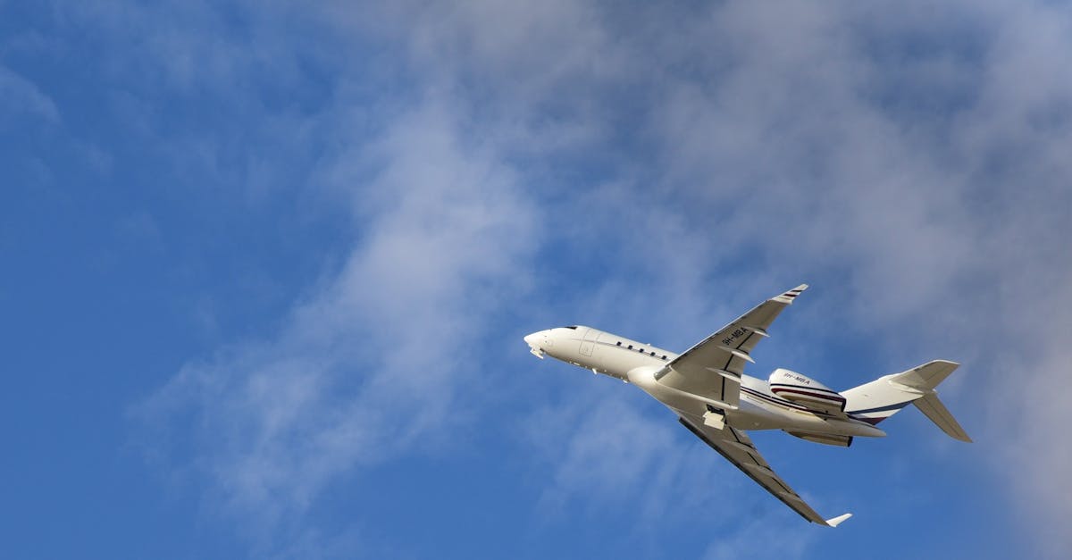 Tips for Ensuring Your Luggage is Safe During Transit